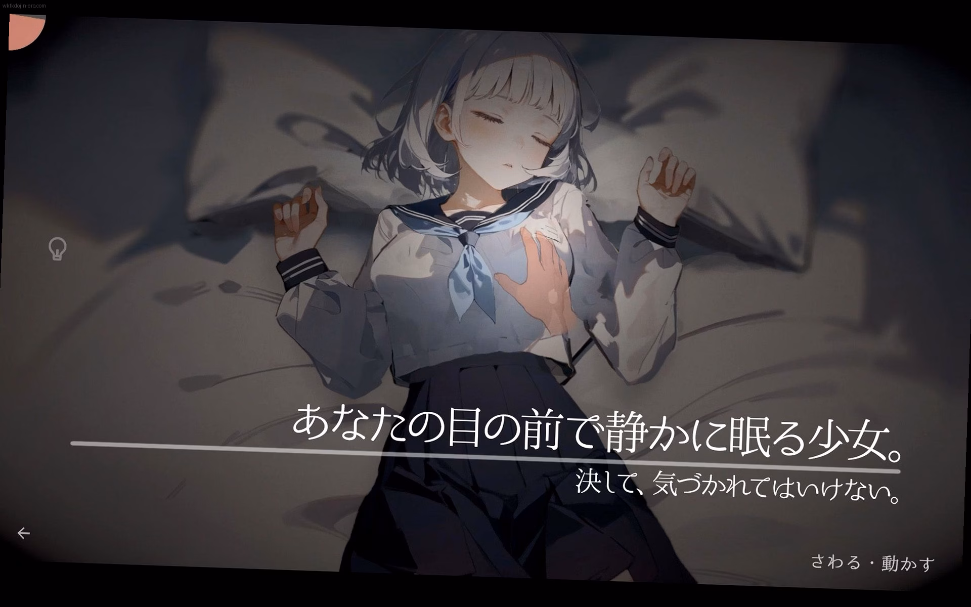 シーン1:睡眠姦の始まり 0
